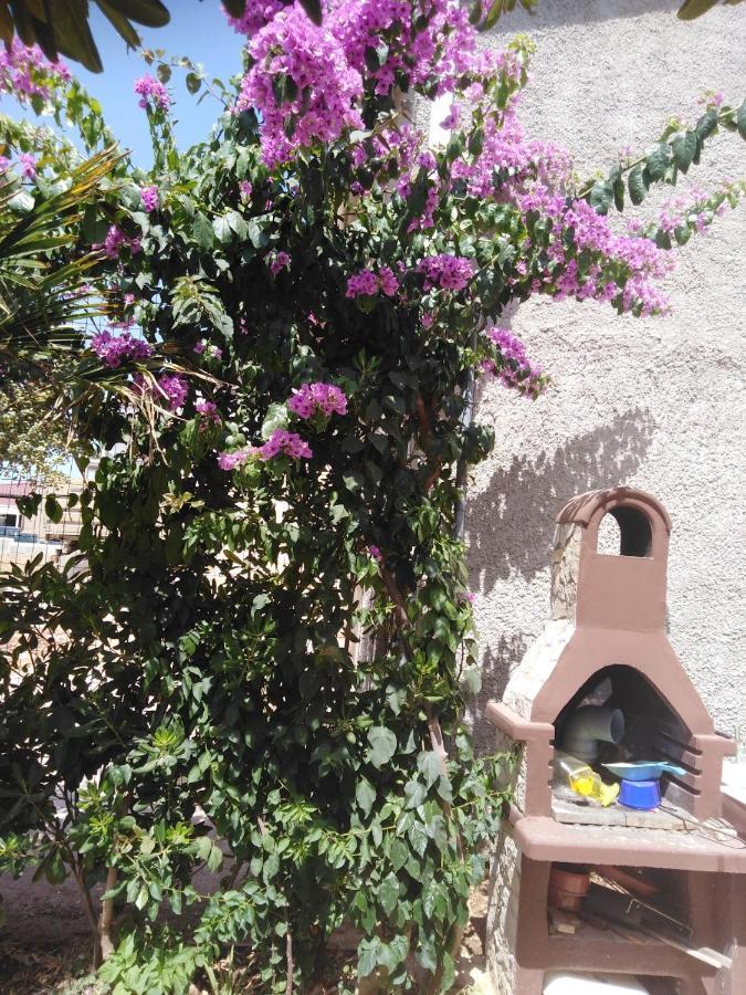 Apartman Ivica Vir Exterior foto